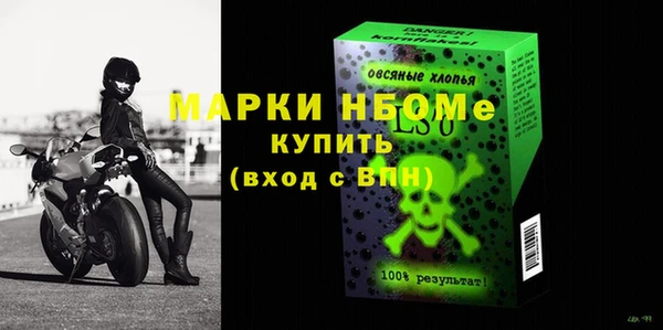 молекула духа Ельня