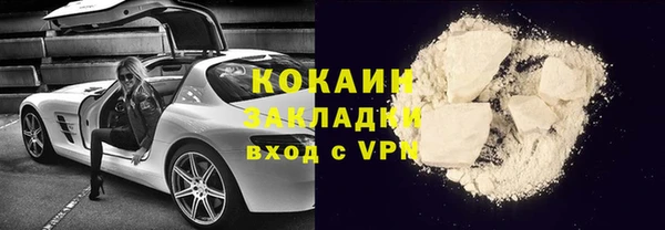 молекула духа Ельня