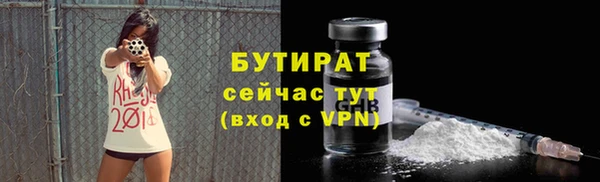 молекула духа Ельня