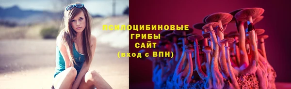 mdpv Елабуга