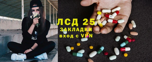 молекула духа Ельня
