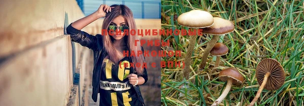 mdpv Елабуга