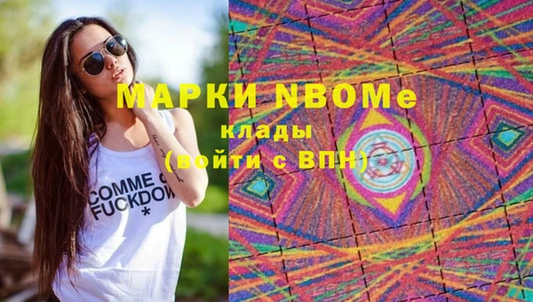 молекула духа Ельня