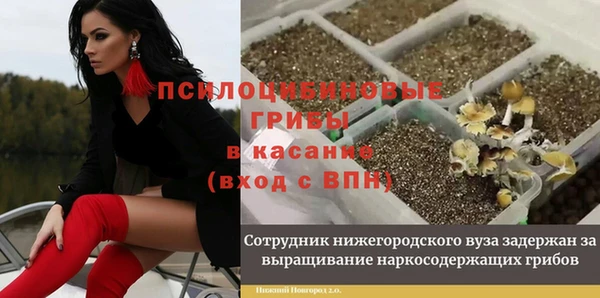 молекула духа Ельня