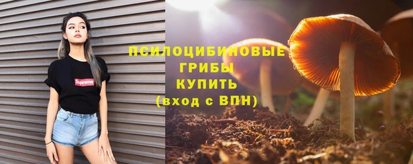mdpv Елабуга